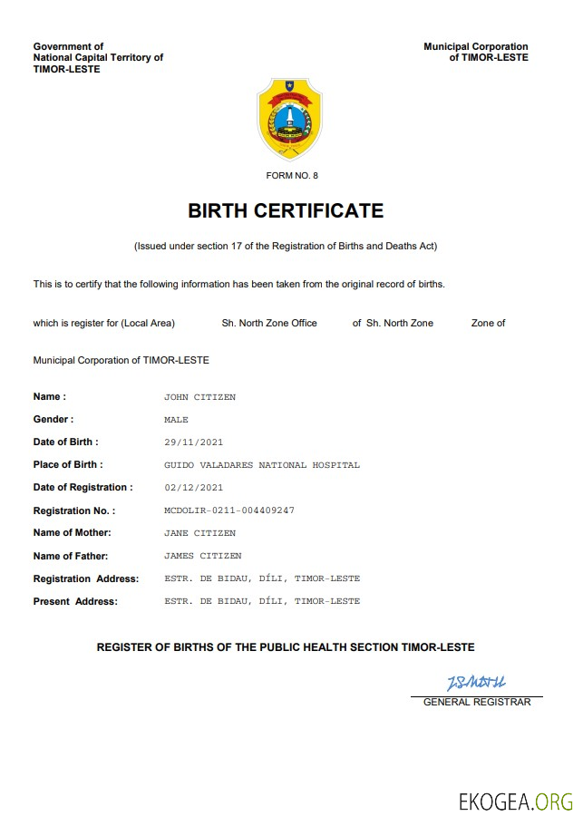 Modèle Word et PDF d'acte de naissance du Timor Leste